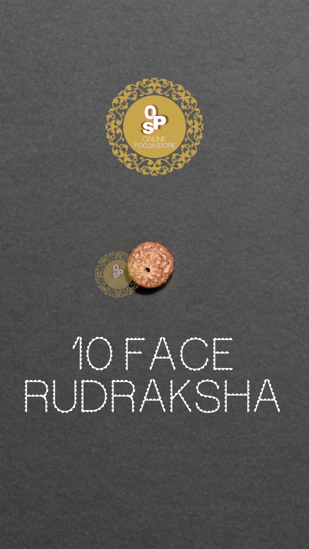 10 FACE/MUKHI ORIGINAL RUDRAKSHA WITH CERTIFICATE | ONLINE POOJA STORE - ONLINE POOJA STORE