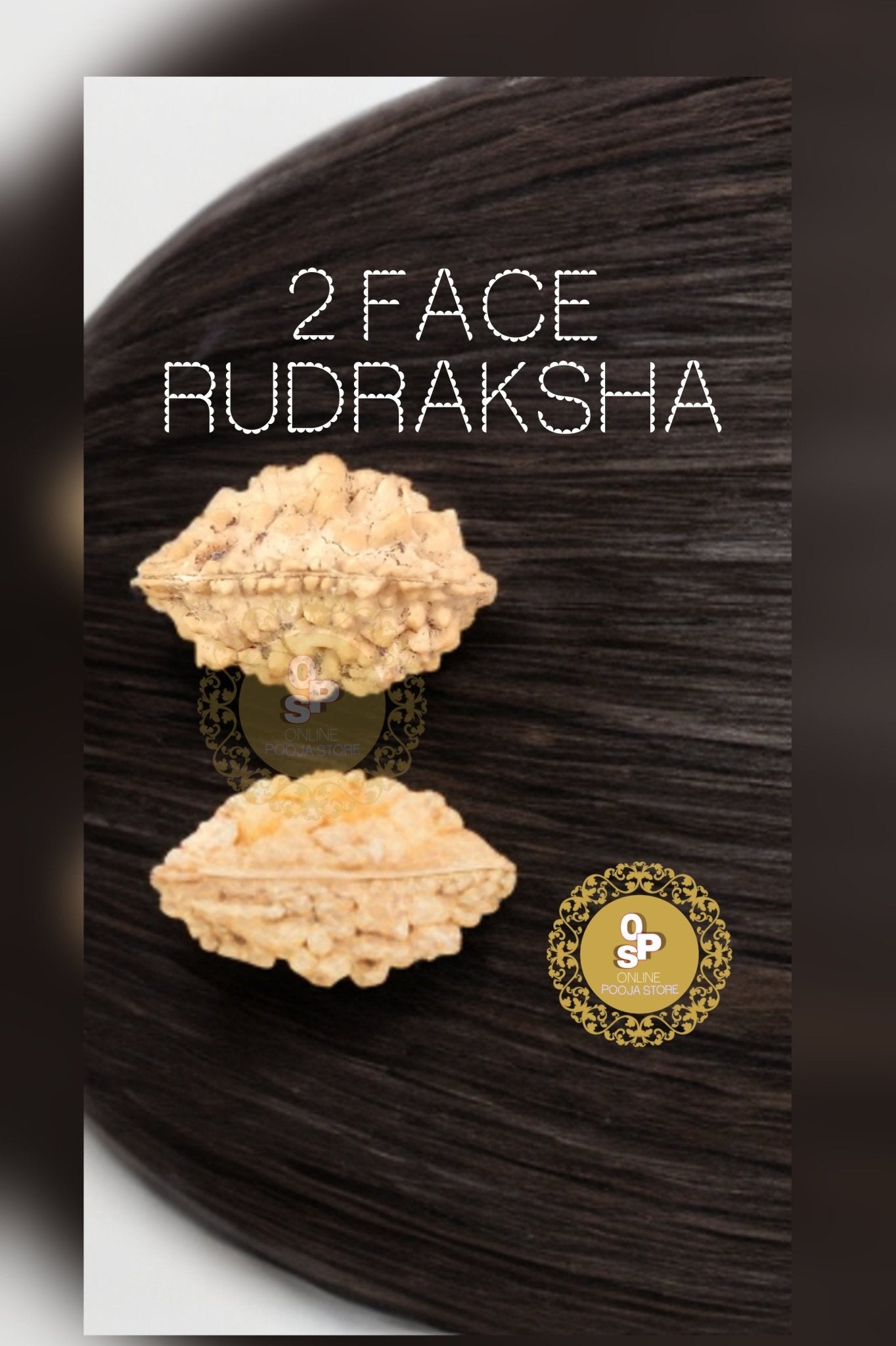 2 Mukhi/Face(Ardhnareshvar) Rudraksha Original with Certificate | ONLINE POOJA STORE - ONLINE POOJA STORE