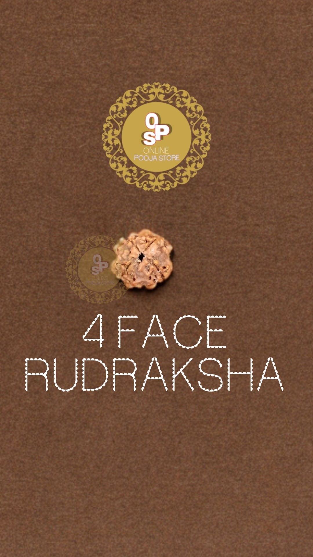 4 FACE/MUKHI ORIGINAL RUDRAKSHA WITH CERTIFICATE||ONLINE POOJA STORE - ONLINE POOJA STORE