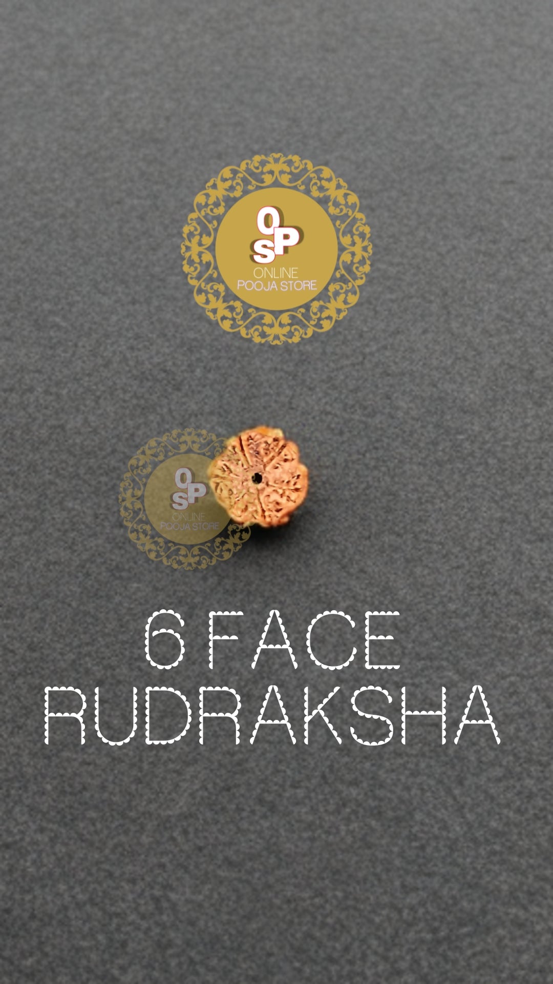 6 FACE/MUKHI ORIGINAL RUDRAKSHA WITH CERTIFICATE |ONLINE POOJA STORE - ONLINE POOJA STORE