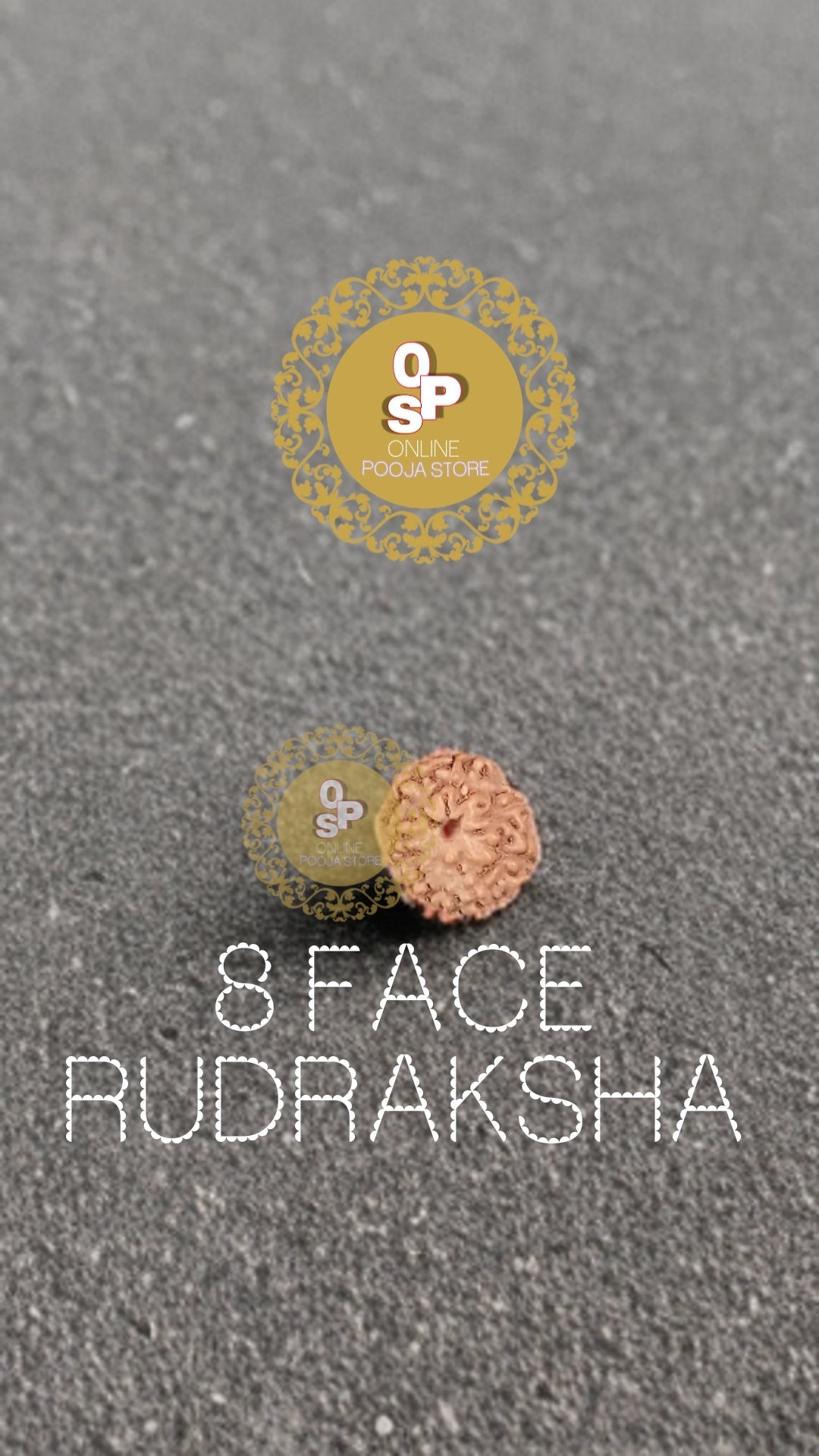 8 FACE/MUKHI ORIGINAL RUDRAKSHA WITH CERTIFICATE | ONLINE POOJA STORE - ONLINE POOJA STORE