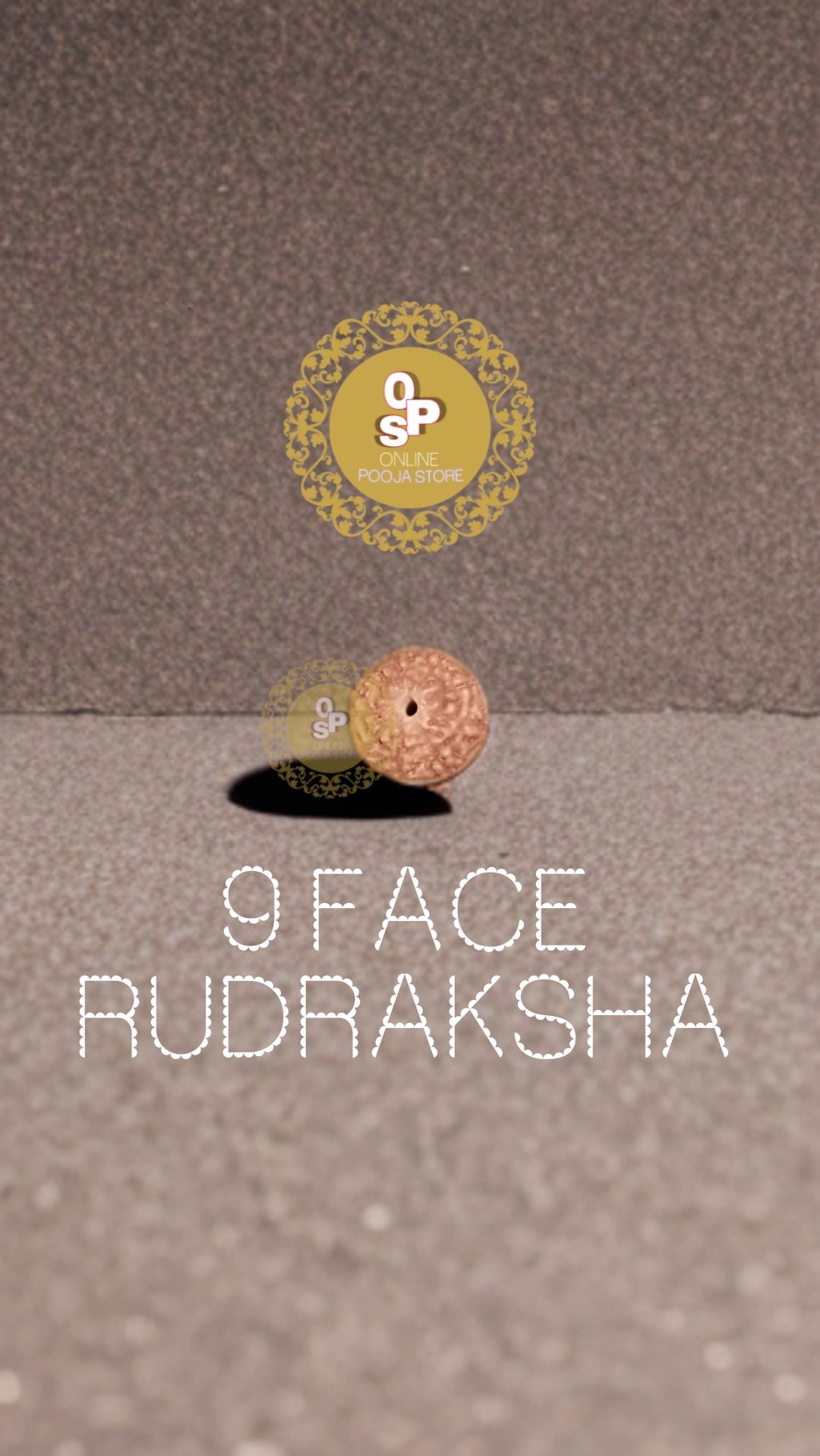 9 FACE/MUKHI ORIGINAL RUDRAKSHA WITH CERTIFICATE | ONLINE POOJA STORE - ONLINE POOJA STORE