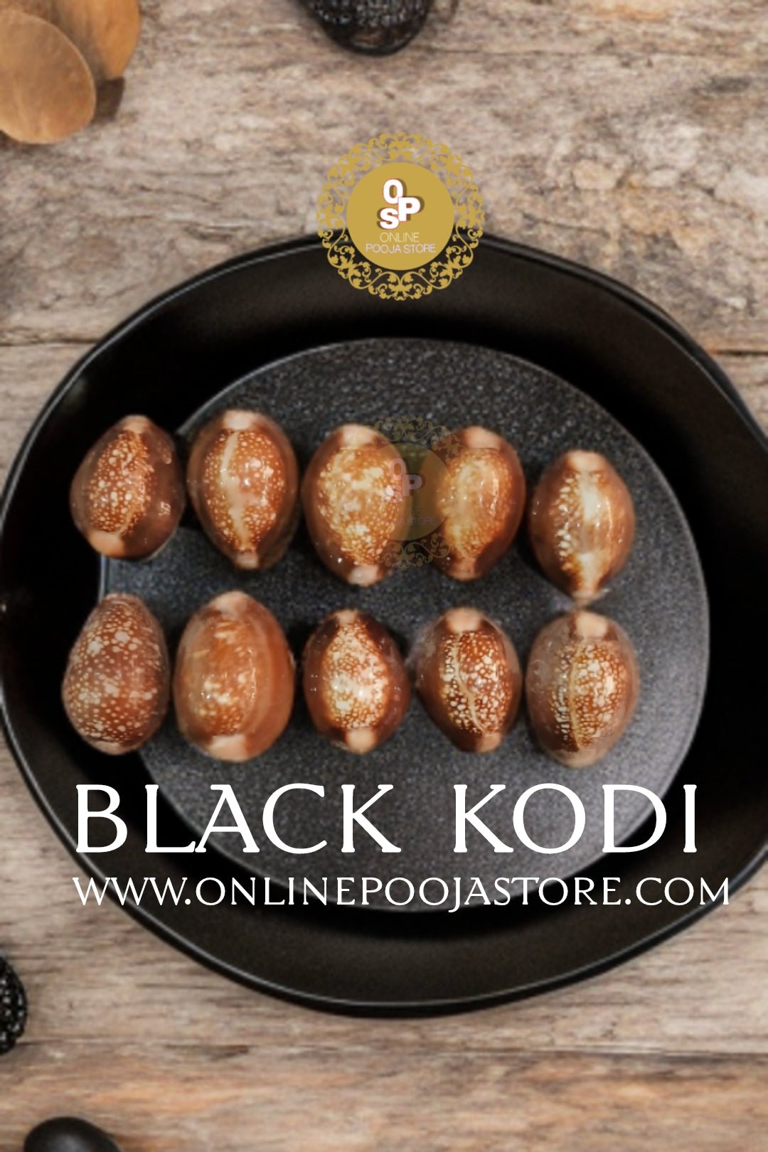 Black Kaudi | Kali Kauri | Kaali Kodi for Puja 10 Pc + 1 pc Free| ONLINE POOJA STORE - ONLINE POOJA STORE