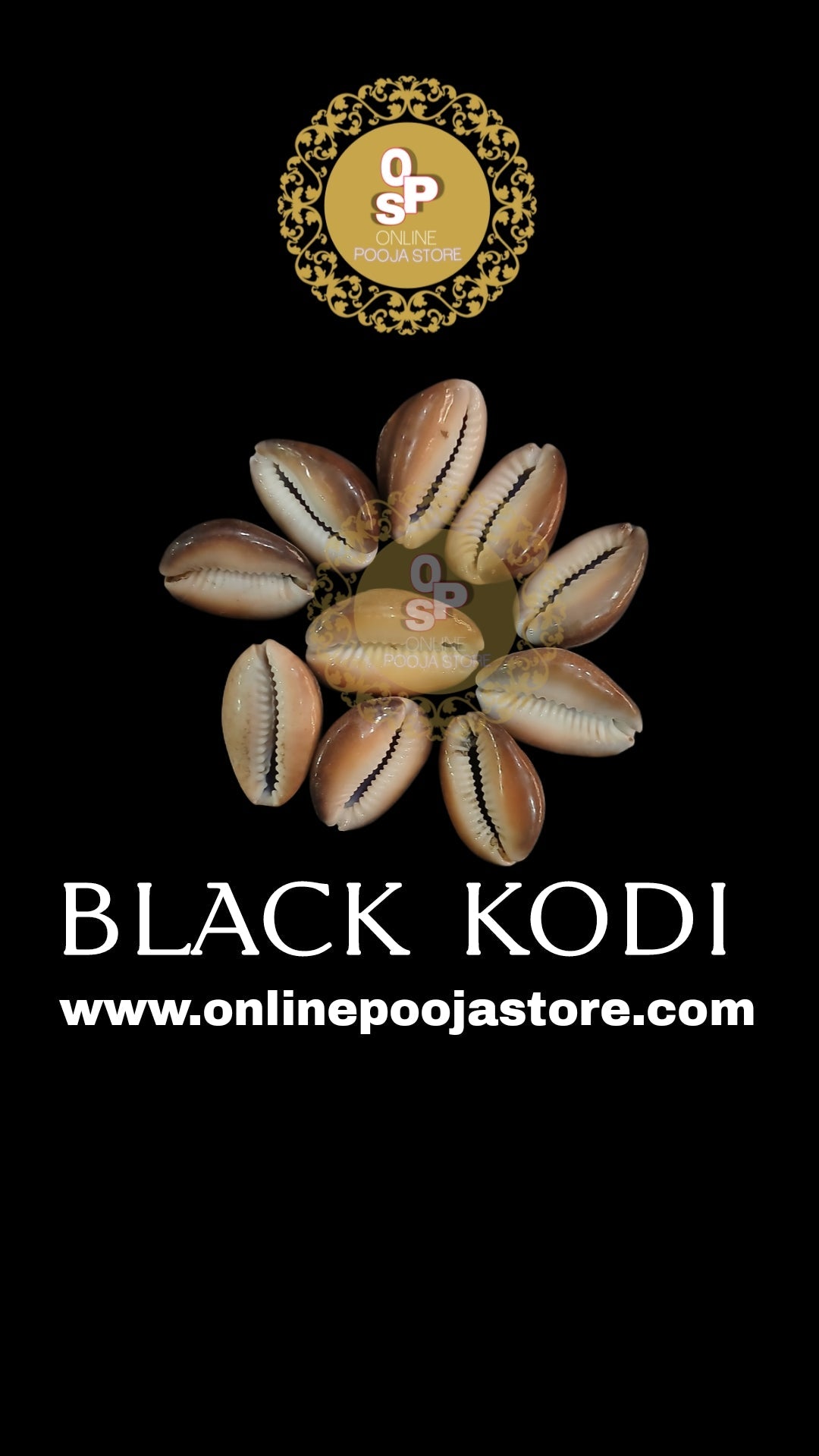 Black Kaudi | Kali Kauri | Kaali Kodi for Puja 10 Pc + 1 pc Free| ONLINE POOJA STORE - ONLINE POOJA STORE