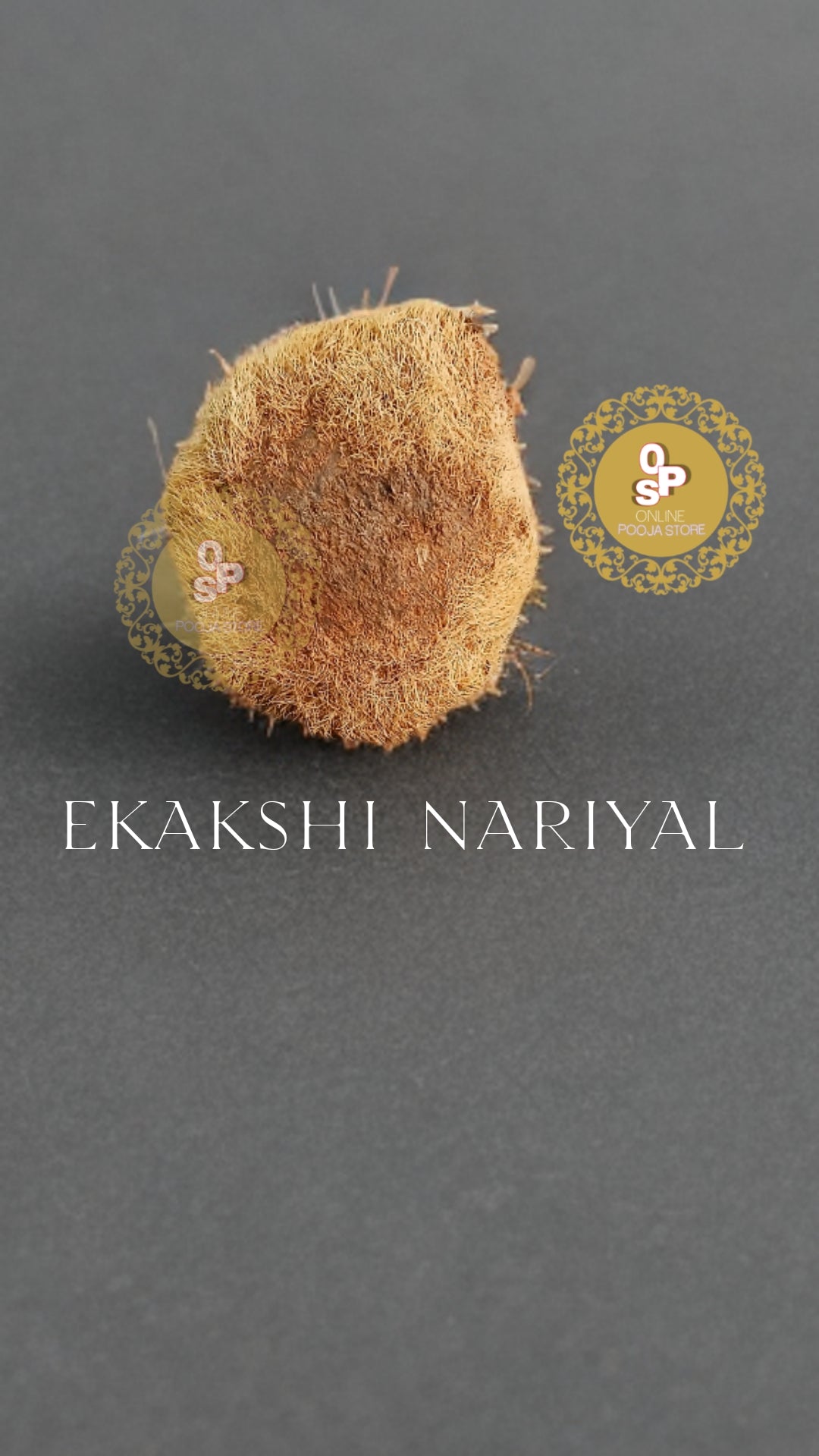 Original Ekakshi Nariyal | One Eye Coconut | online pooja store - ONLINE POOJA STORE